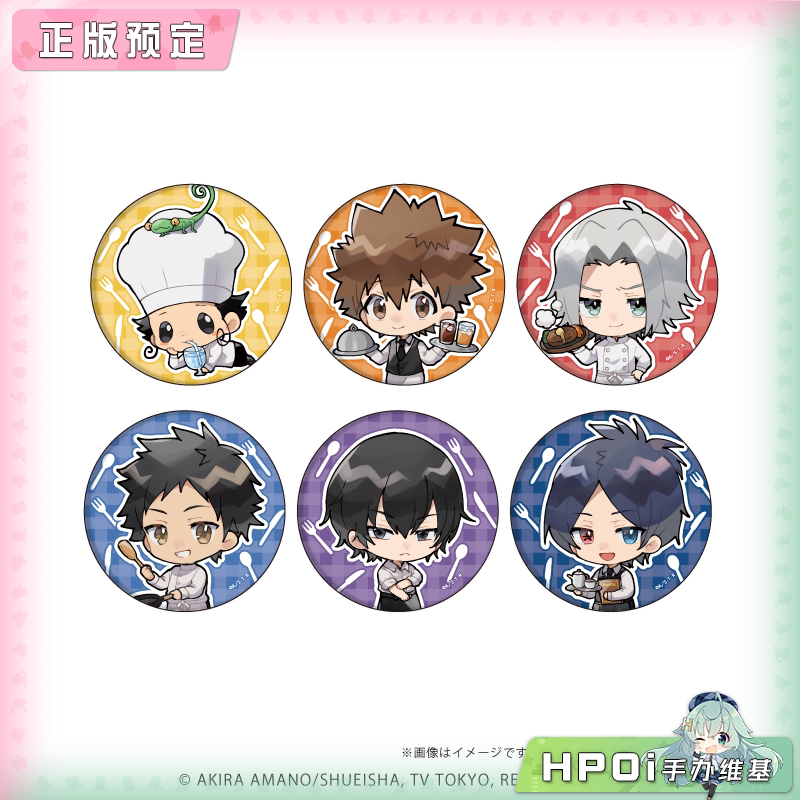 A3 家庭教师 HITMAN REBORN! Q版 全6种 徽章 周边