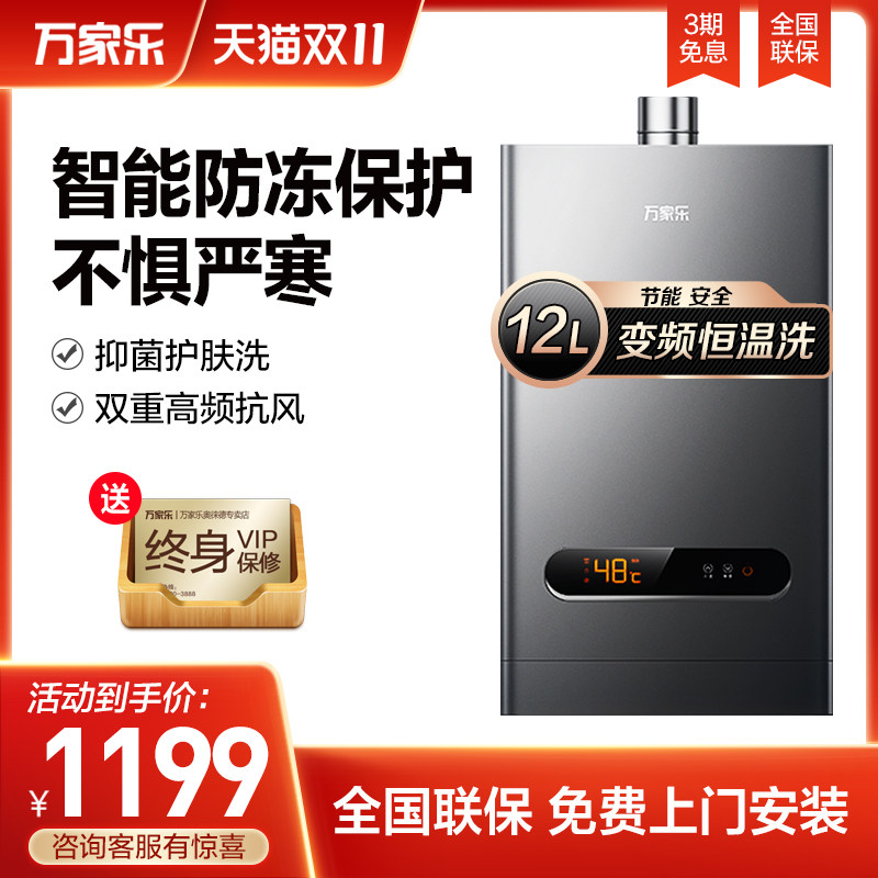 Home Gas Strong Platoon Style Flagship Store 12 Liter 12CP1 for Wanjiale Intelligent Anti-freeze Thermostatic Gas Water Heater