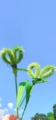 恒特锂能科技动力