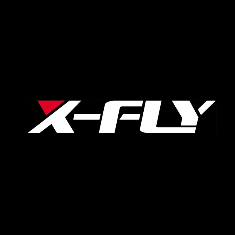 南宁XFLY滑板店的LOGO