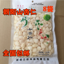 4 bags northeast Liaoning Chaoyang special production salty almond 250g brine almond Mountain almond green natural