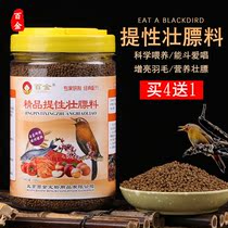 Baijin thrush bird eating bird feed bird bird feed fighting bird singing bird feed strong fat nutrition material fire bird grain change hair