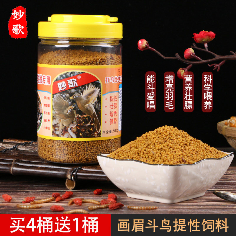 Bird feed drawing eyebrow bird feed drew bird docker contest bird character combative