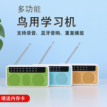 Starling wren parrot bird uses learning machine to teach talking repeat machine can record regularly to teach birds to learn talking recorder