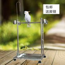 Large ladder big parrot stainless steel station rack large parrot bird stand cage station shelf cage delivery anklet