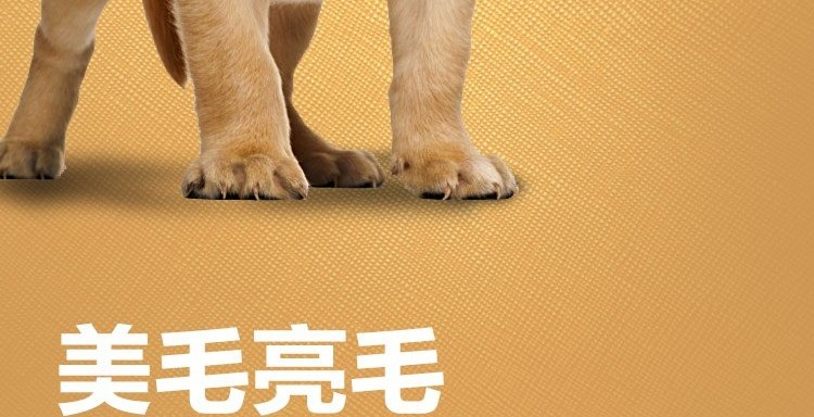 Yêu Dabao thịt bò đôi chó con thức ăn cho chó Jinmao Labrador Samoyed chó vừa và lớn loại đặc biệt 5 kg - Chó Staples smartheart puppy