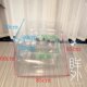 Internet celebrity transparent inflatable sofa combination modern simple fashion home accommodation seat shooting props factory direct sales