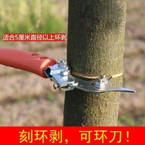 Robust Pear Tree Fruit Tree Ring Cutting Ring Exfoliator Multifunction Peach Tree Grape New scraper Grapefruit ring cutter ring cutting knife