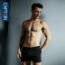 Quần lót, quần short pyjama cotton, bốn góc lỏng lẻo, quần dài, quần nam đơn giản, ba quần Quần tây