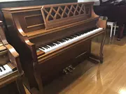 Hàn Quốc nhập khẩu đàn piano thẳng đứng SAMICK Sanyi SU-118FB chín chín đàn piano mới Hồ Nam