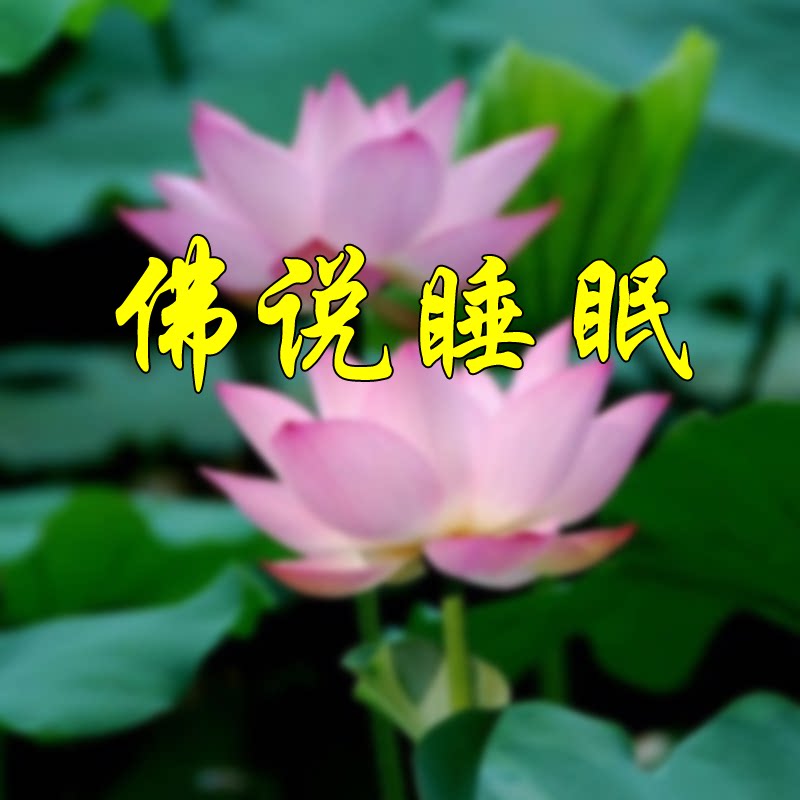 佛说睡眠的LOGO