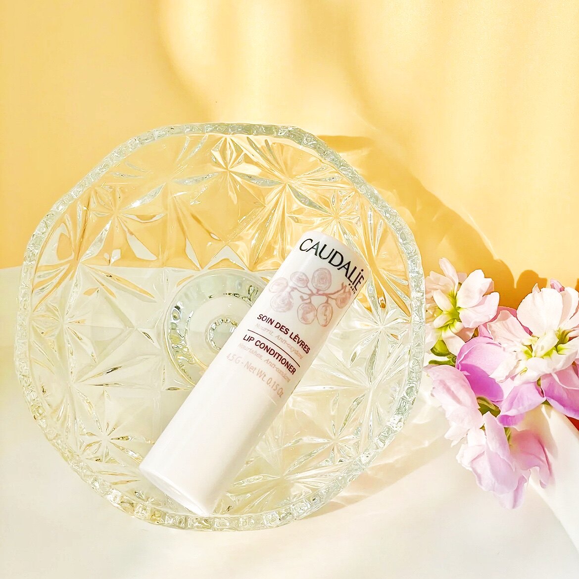 Mate moisturizing without greasy ) Ottilly Caudalie grape seed nourishing lipstick for 4 5g