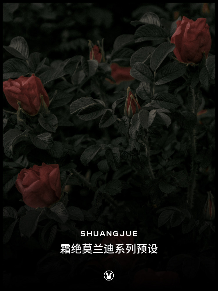 【P310】霜绝预设日系胶片莫兰迪lightroom调色滤镜ps