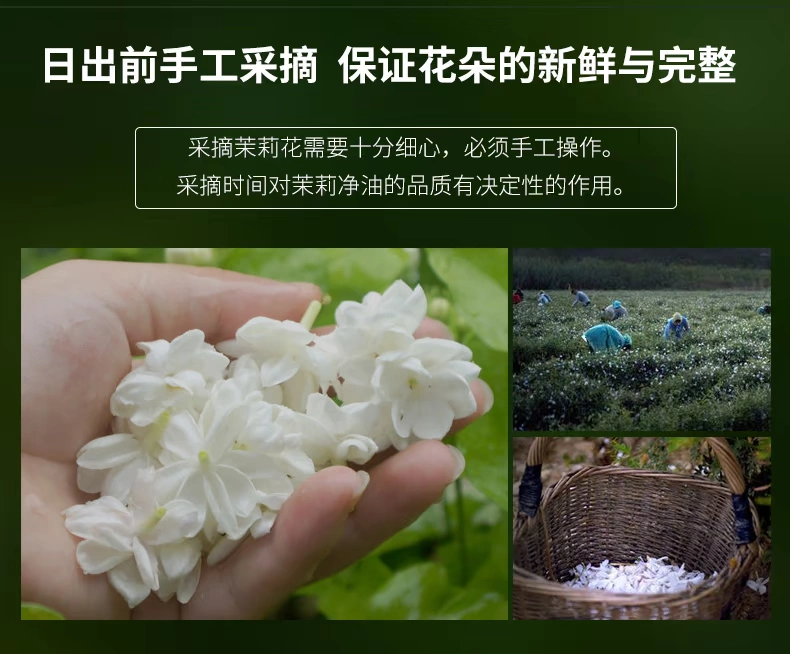 Zhang Xiao Niangzi Jasmine Oil 10ml Giữ ẩm Làm săn chắc da Phụ nữ Làm dịu Da săn chắc Tinh dầu Hương liệu đơn phương