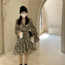 Ginsu One Long Sleeve Tucked Pleats Dress Woman 2022 Spring Han version Ink green speck with underskirt chic dress tide