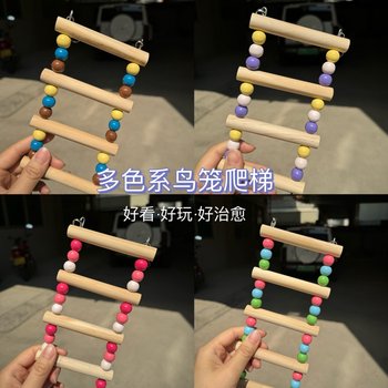 Parrot bird climbing ladder with toy ladder