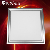 Sunshine lighting integrated ceiling LED light kitchen light toilet recessed aluminum buckle panel light flat kitchen and bathroom light