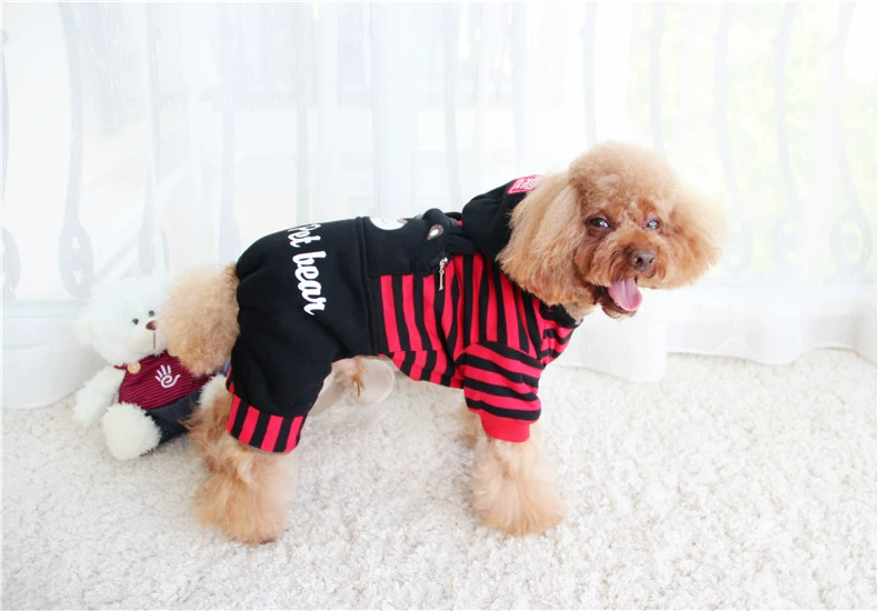 Ca cao Hani Pet Dress Bear Bear Tee Teddy VIP Dog Quần áo - Quần áo & phụ kiện thú cưng