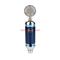 Changsha flash blue spark digital live recording digital spark condenser microphone microphone