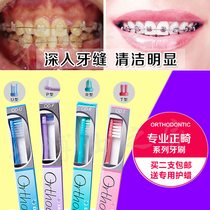 Dent Ex Lion King orthodontic toothbrush with braces for cleaning gingival protection UPRT type cleaning buy 2 Wax protection