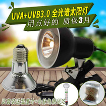 Turtle sun back light Reptile heating bulb Turtle tank full spectrum UVA UVB sun light frame calcium sterilization set