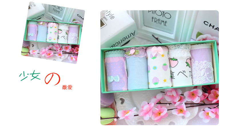 Hộp quà tặng đồ lót phụ nữ cotton tóm tắt ren gợi cảm cotton cô gái đồ lót dễ thương 5 tải - Bộ quà tặng quần lót nam cotton
