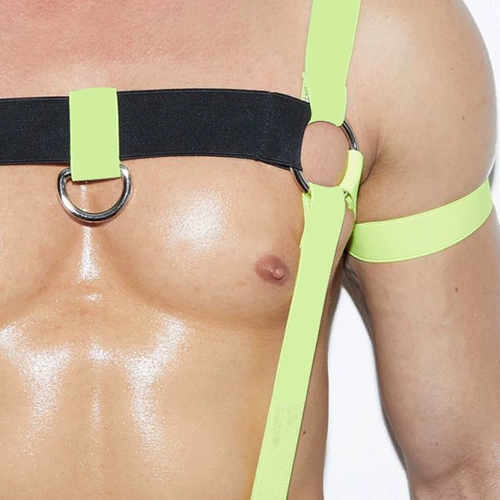 Нижнее белье, леггинсы, нагрудный ремень, комплект, портупея