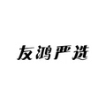 友鸿严选