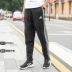 Adidas adidas 19 xuân nam quần thể thao và giải trí dệt kim DU1148 D95951 - Quần thể thao quần short nam thể thao Quần thể thao