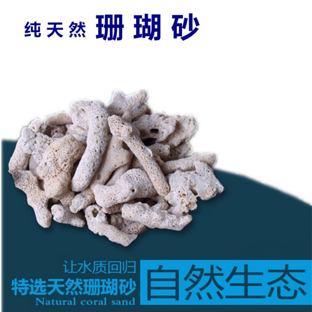 Fish Tank Filter Material Filter Bacteria House Ceramic Ring Activated Carbon Aquarium Eight All-in-one