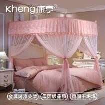 2019 New Net red floor-landing mosquito net household 1 2 meters 2 meters 1 8m1 5m bed encryption thick Princess wind pattern account