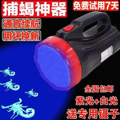 Special strong light for Scorpion lamp head-mounted scorpion lamp, Bean lamp, catching and catching, Scorpion lamp, outdoor violet lamp charging