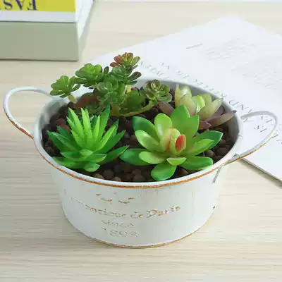 Pastoral white iron flower pot Retro old small iron bucket Wrought iron binaural storage bucket creative personality fleshy flower pot