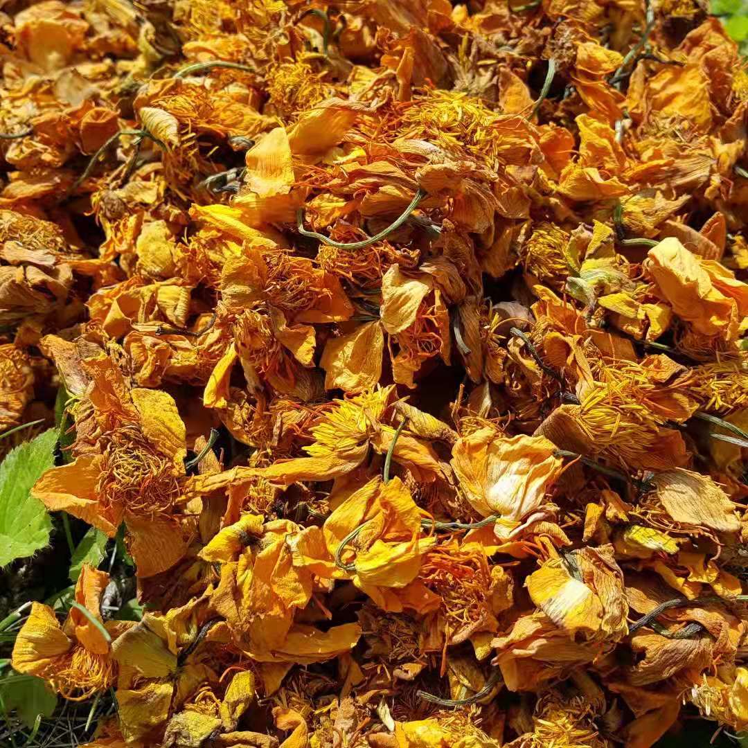 Bulk North East Daxing Anling Virgin Forest Wild Gold Lotus Grass Tea Natural Drying Seexternal Dragon Well 250 gr
