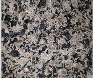Bulk Northeast Daxing Anling Forest New Bubbles Hair Rate High Black Agaric Duo single sheet No root meat thickness 10 catty