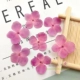 Hoa cẩm tú cầu hoa khô hấp thụ màu tự nhiên nhựa nhỏ giọt hoa khô điện thoại di động vỏ vòng đeo tay dán mặt ảnh vật liệu gói hoa - Vòng đeo tay Cuff