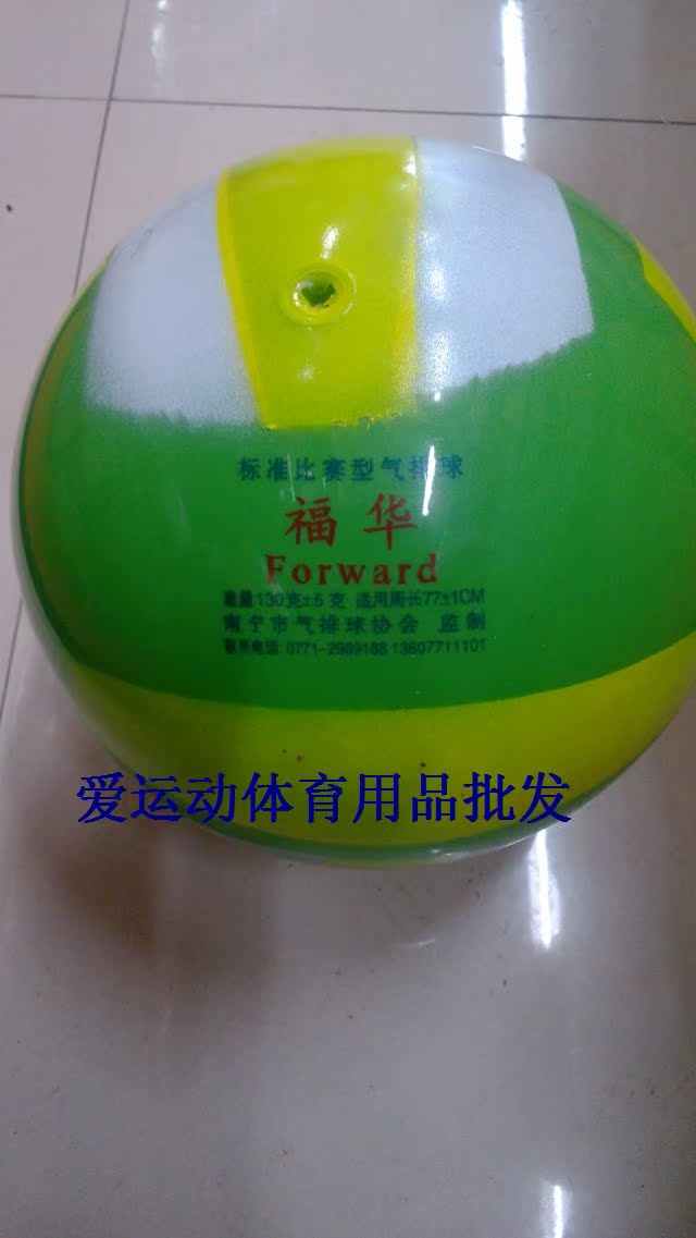 Ballon de volley-ball - Ref 2012201 Image 6