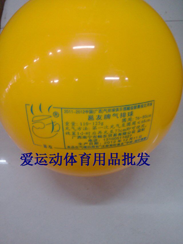 Ballon de volley-ball - Ref 2012225 Image 5