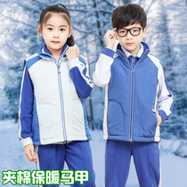 Shenzhen primary school uniforms female cotton waistcoat winter mens new cotton vest warm cold cotton cotton warm