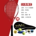 Varesi / Wei Leisi carbon chính hãng vợt tennis người mới bắt đầu sinh viên với đàn ông độc thân và phụ nữ đào tạo wqp đầy đủ vận chuyển Vợt