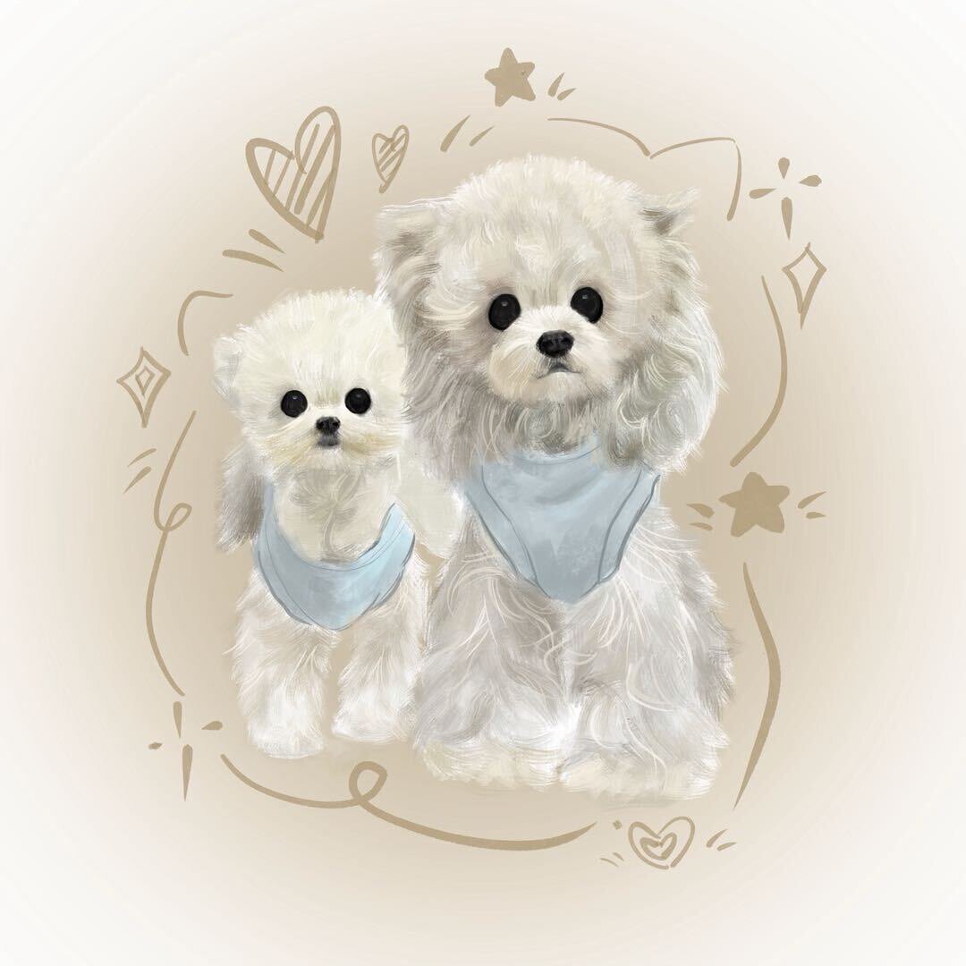 FANFAN PET