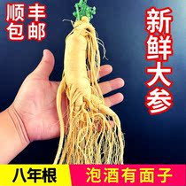 Fresh ginseng Changbai Mountain Fresh ginseng Northeast 8-year-old Ghent large fresh ginseng bubble wine Ginseng Non-wild mountain ginseng