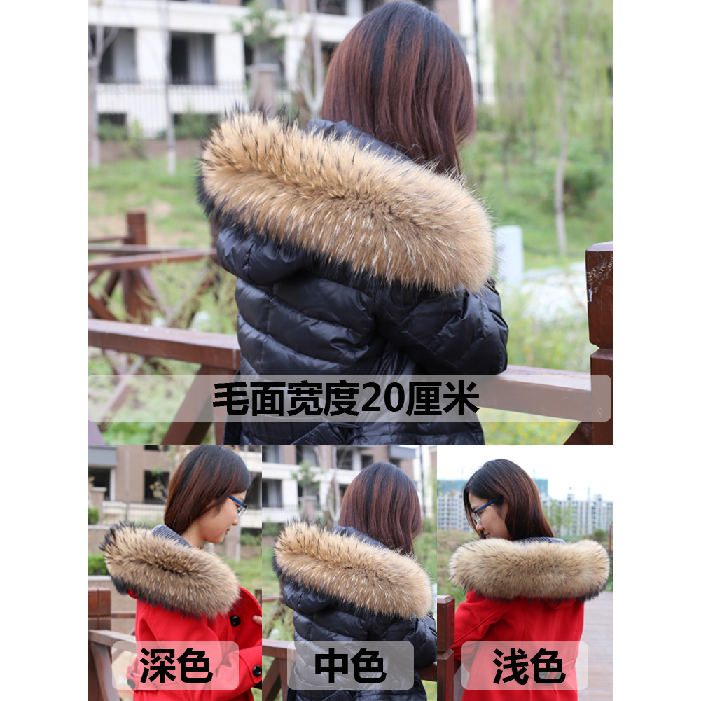 真貉子毛条:2-3元十元档65CM小价位直条的时尚与经济之道