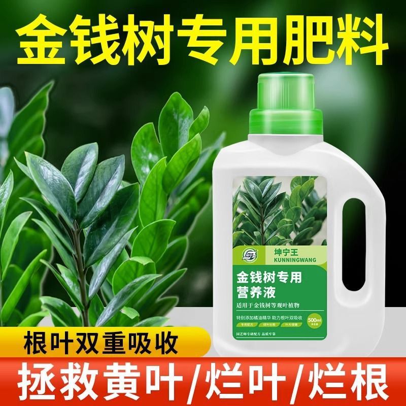 Dilution-Free Money Tree Nutrient Solution for Yellowing Leaves, Foliar Fertilizer for Potted Plants, Money Tree Fertilizer, Special Fertilizer