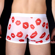 Quick-drying mens lace ice silk transparent breathable ultra-thin U convex sexy mesh summer boxer briefs