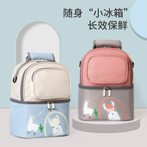 Back milk bag mommy bag summer breast milk fresh refrigerated ice bag multi-functional large capacity portable maternal and infant insulation ice bag