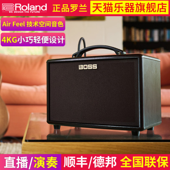 Roland BOSSAC-22LX 어쿠스틱 전문 노래 기타 스피커 포크 기타 악기 연주 및 노래 휴대용 스피커