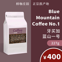  Zisha Coffee Manor 2020 new season Jamaican Blue Mountain Coffee Beans washed balanced low acid ground coffee powder