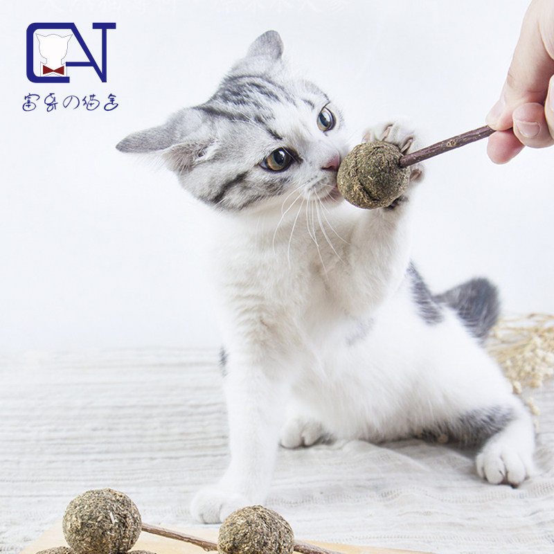 Cat snacks mint grass lollipop Candy Grindle wood Sky Ball Cat Toy Licks and Cat Sticks Nibble to bite the teeth