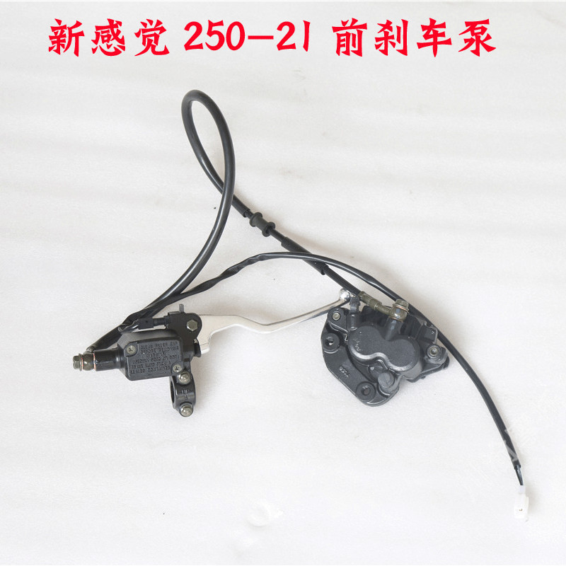 New feeling 250 Motorcycle 250-21-150-21 front disc brake pump assembly Upgraded Version Brake Pump Accessories 